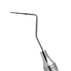 import placeholder for 1985