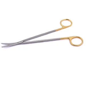 import placeholder for 5582