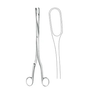 import placeholder for 7982