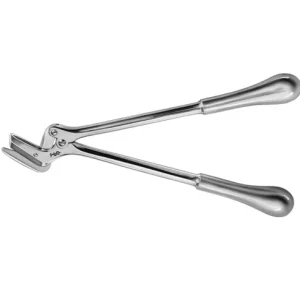 import placeholder for 8442