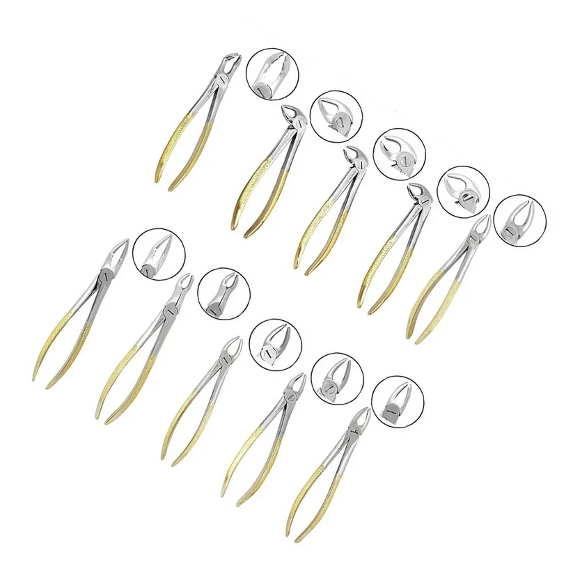 tooth extracting forceps set tooth extracting forceps set